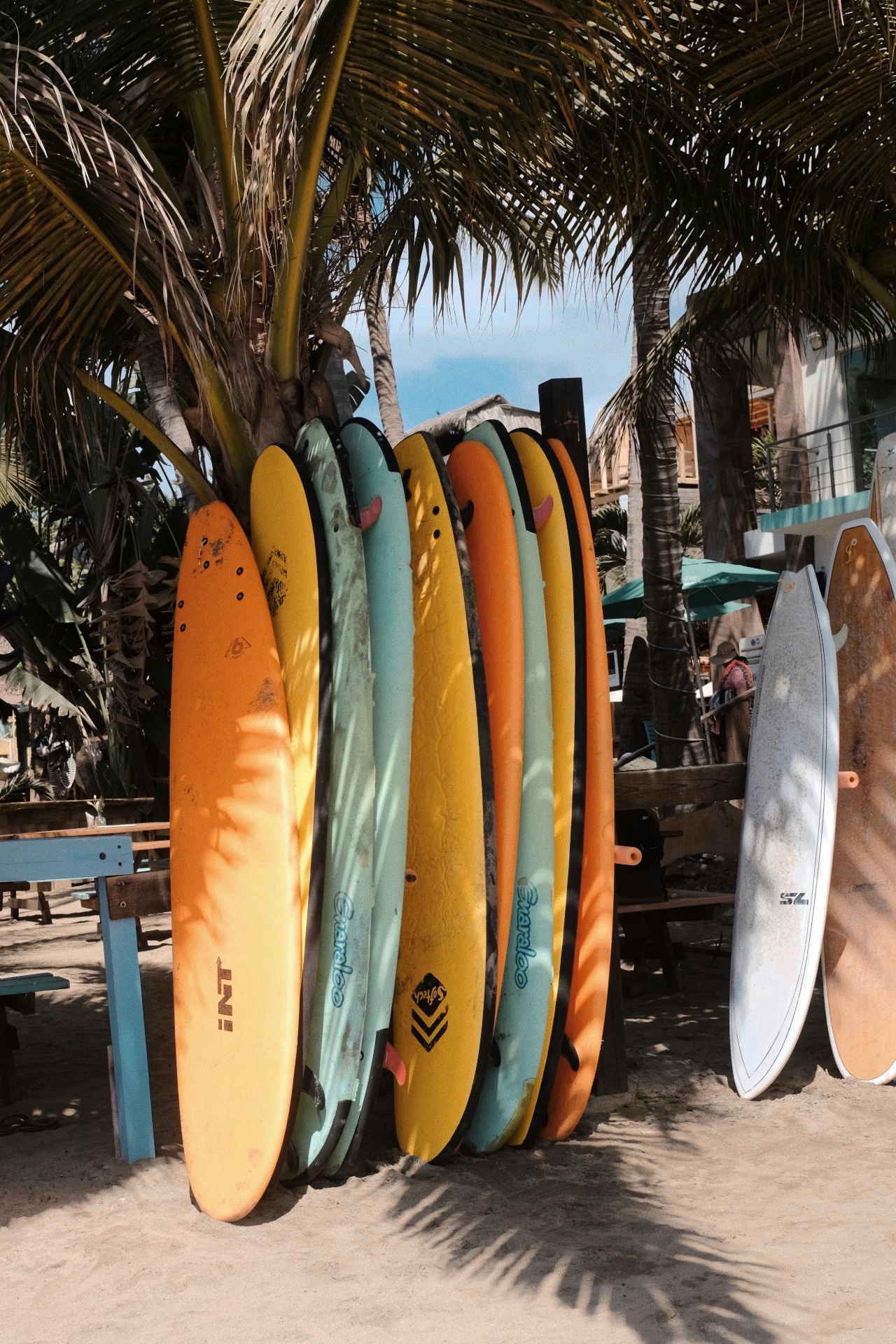 Colourful surfboards lined up under palm trees in Kuta Lombok