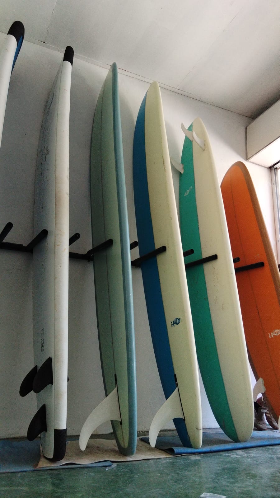 Colourful surfboards lined up under palm trees in Kuta Lombok